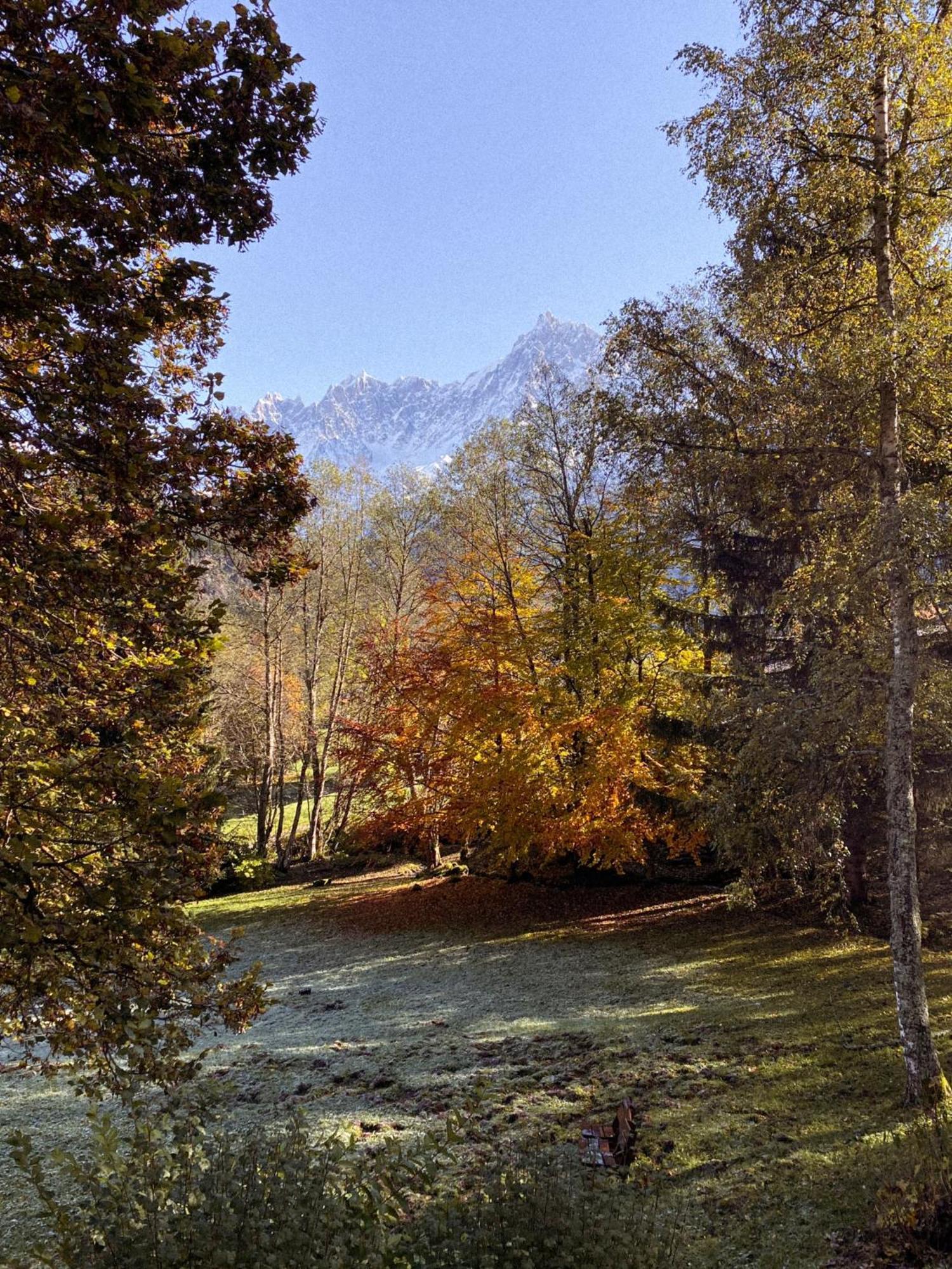 Chalet Vinales Les Houches Exterior photo