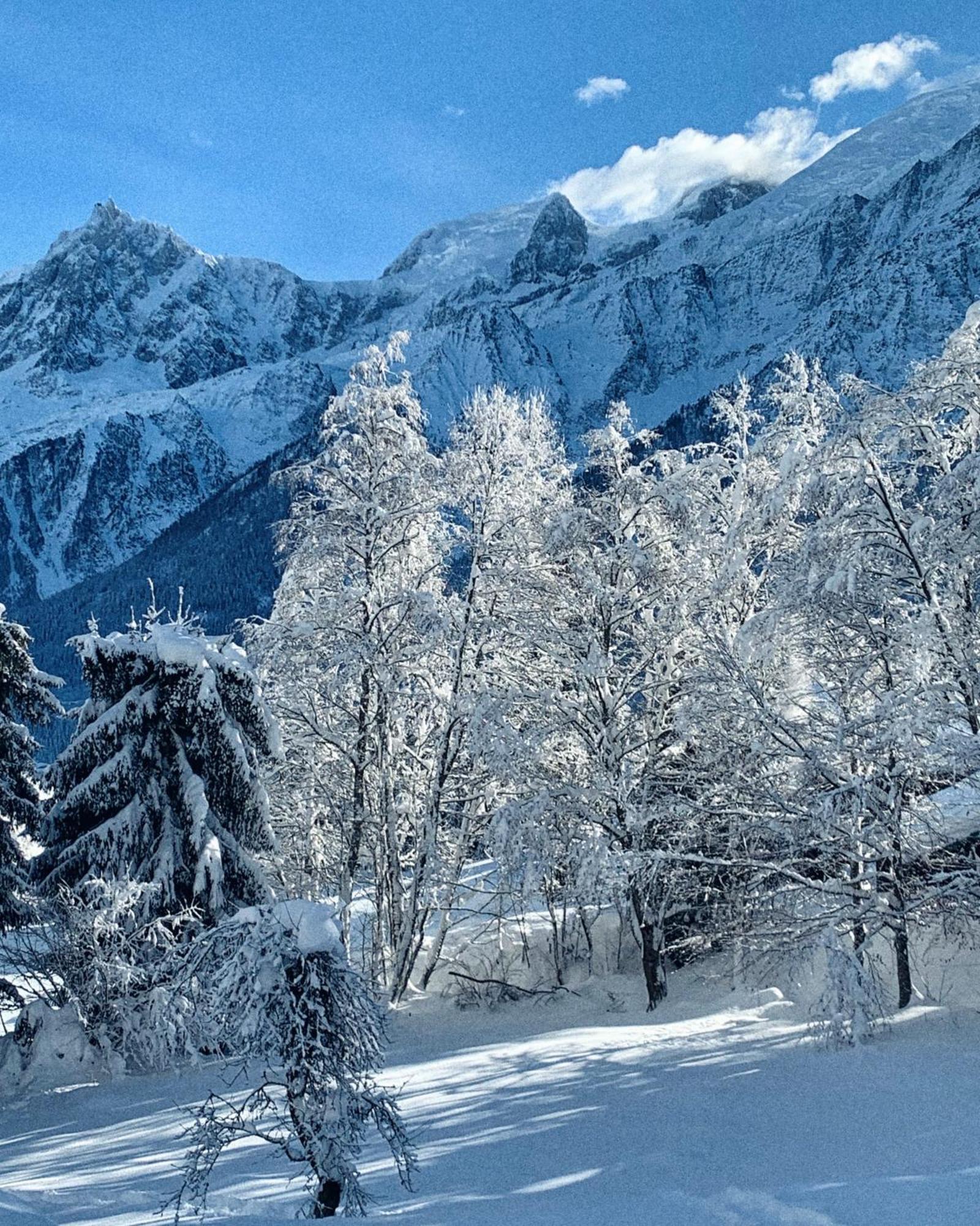 Chalet Vinales Les Houches Exterior photo